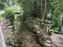 -成都市活水公园