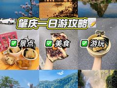 -鼎香皇高佬苏裹蒸粽
