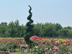 -艾山风景名胜区