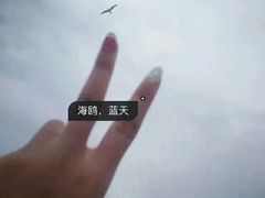 android_upload_pic-日照灯塔风景区