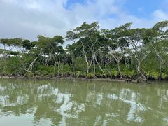 -东寨港红树林旅游区