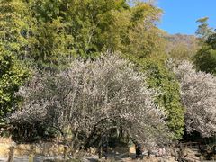 -宝岩生态观光园