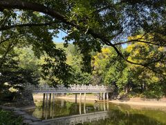 -深圳国际园林花卉博览园