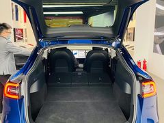 -TESLA 特斯拉(郑州正弘城体验店)
