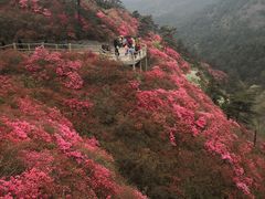 -木兰云雾山