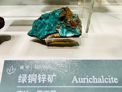 -中国地质博物馆
