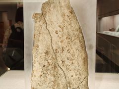 -北京大学赛克勒考古与艺术博物馆