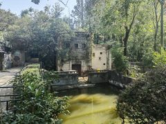 -鸡鸣汤包(红山动物园店)