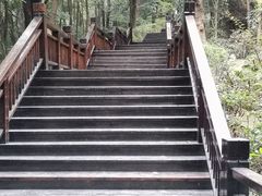 -天鹿湖森林公园