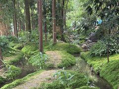 -成都市活水公园