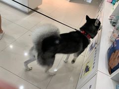 -瑞鹏宠物医院·爱宠堂(环西分院)