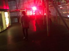 -339旋转餐厅(天府熊猫塔店)