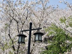 -苏州上方山国家森林公园