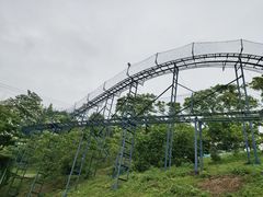 -瓷天下海丝谷