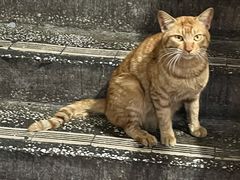 -老丘丘(较场口店)