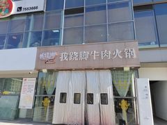 -菌子鲜汤野生菌锅