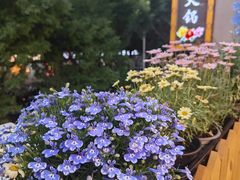 -水浒烤肉(国贸店)