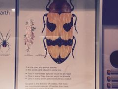 -墨尔本博物馆(Melbourne Museum)