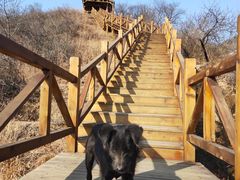 -大岭沟猕猴桃谷风景区