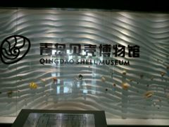 -青岛贝壳博物馆