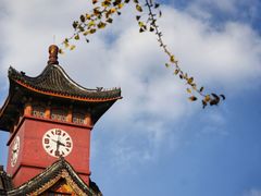 -四川大学(华西校区)