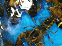 -清水湾3号(东方小周海鲜店)