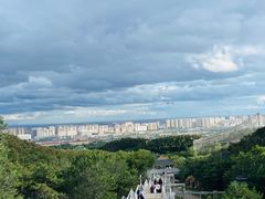 -大青山野生动物园
