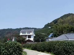 -龙井村