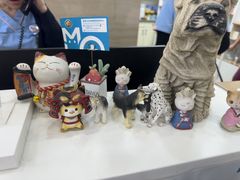 -美联众合动物医院·24h转诊中心