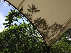 -新加坡飞禽公园