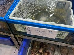 -拉威海鲜市场