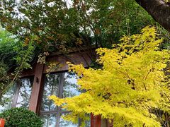 -七彩云南古滇温泉山庄