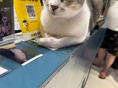 -谜盒子奇幻密室(南屏店)