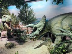 -国家自然博物馆