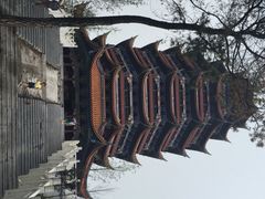 铁山坪森林公园-铁山坪森林公园