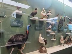 -国家自然博物馆