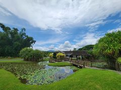-中国科学院西双版纳热带植物园