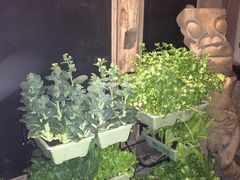 -旅马餐厅(茅家埠店)