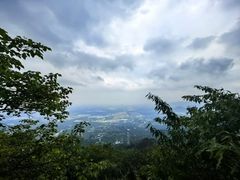 -阳台山自然风景区
