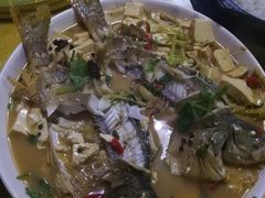 -煲来饱去冷水鱼