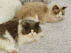 -拜鲁耶动物诊疗中心·宠家动物医院