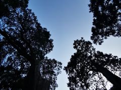 -北京上方山国家森林公园