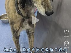 -谐和贝康宠物医院24小时·宠保定点(急重症转诊中心)