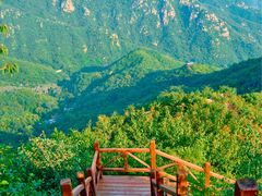 -大岭沟猕猴桃谷风景区