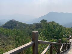 -大岭沟猕猴桃谷风景区