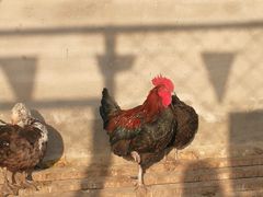 -兴芮温泉度假区