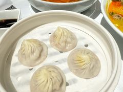 -圆苑(金茂店)