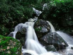 -牛背梁国家森林公园
