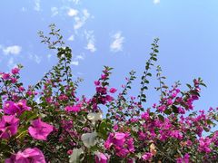 -明月山庄私房菜(环海东路店)