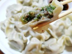 猪肉茴香饺子-王记手工水饺(和平里西街店)